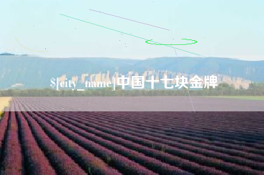 鸡西中国十七块金牌