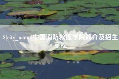 鸡西中国消防救援学院简介及招生章程