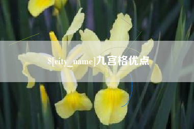 鸡西九宫格优点