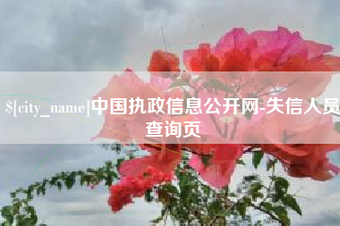 鸡西中国执政信息公开网-失信人员查询页