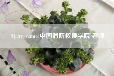 鸡西中国消防救援学院 老师