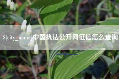 鸡西中国执法公开网征信怎么查询