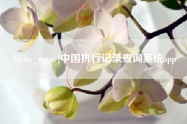 鸡西中国执行记录查询系统app