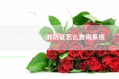 鸡西消防证怎么查询系统