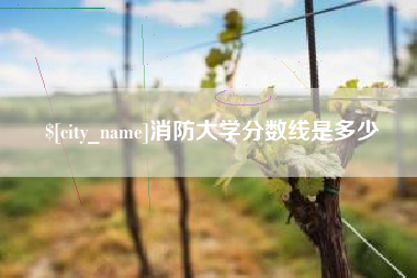 鸡西消防大学分数线是多少