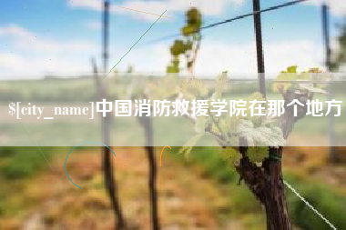 鸡西中国消防救援学院在那个地方