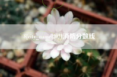 鸡西2021消防分数线