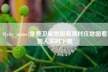 鸡西免费卫星地图高清村庄地图看到人实时下载