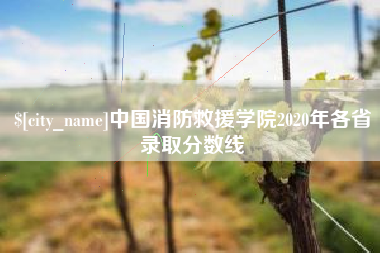鸡西中国消防救援学院2020年各省录取分数线