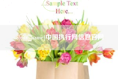 鸡西中国执行网信息官网