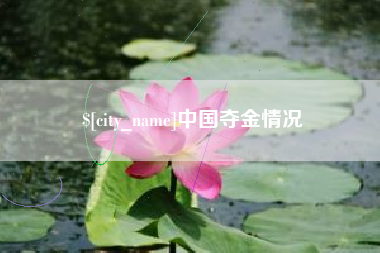 鸡西中国夺金情况
