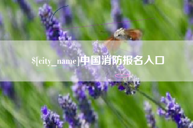 鸡西中国消防报名入口