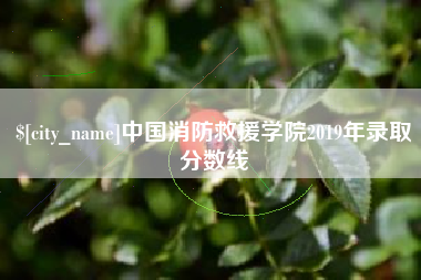 鸡西中国消防救援学院2019年录取分数线