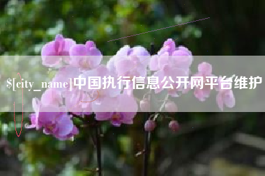 鸡西中国执行信息公开网平台维护