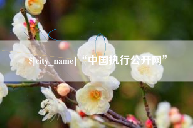 鸡西“中国执行公开网”
