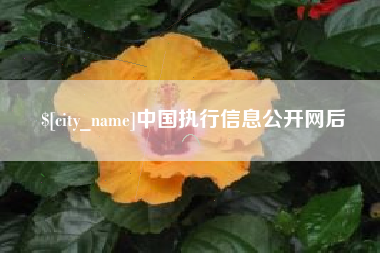 鸡西中国执行信息公开网后