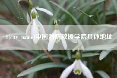 鸡西中国消防救援学院具体地址