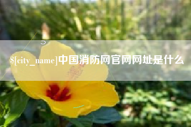 鸡西中国消防网官网网址是什么