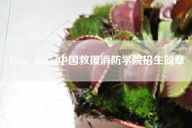 鸡西中国救援消防学院招生简章