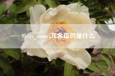 鸡西九金指的是什么