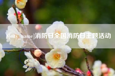 鸡西消防日全国消防日主题活动