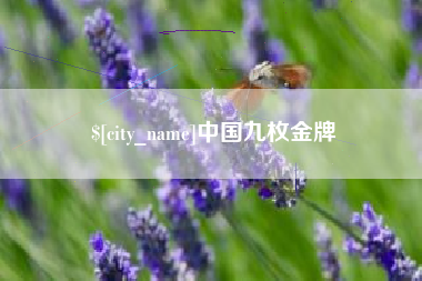 鸡西中国九枚金牌