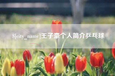鸡西王子豪个人简介乒乓球