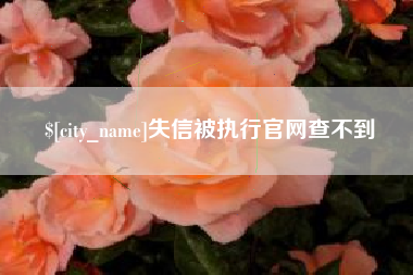 鸡西失信被执行官网查不到