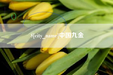 鸡西中国九金