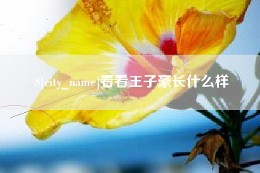 鸡西看看王子豪长什么样