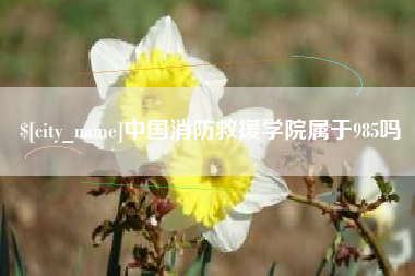 鸡西中国消防救援学院属于985吗