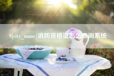 鸡西消防资格证怎么查询系统