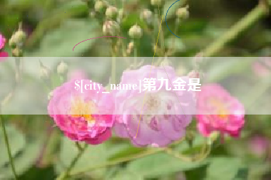 鸡西第九金是