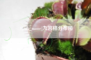 鸡西九宫格分布图