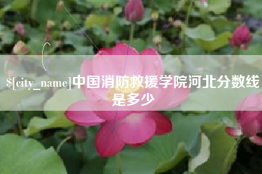 鸡西中国消防救援学院河北分数线是多少