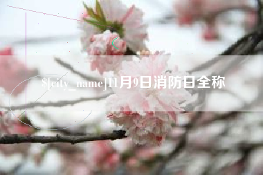 鸡西11月9日消防日全称