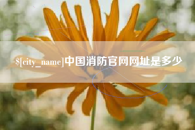 鸡西中国消防官网网址是多少