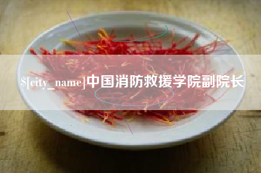 鸡西中国消防救援学院副院长