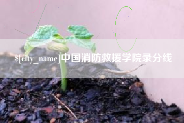 鸡西中国消防救援学院录分线