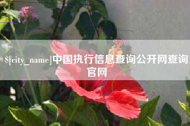 鸡西中国执行信息查询公开网查询官网