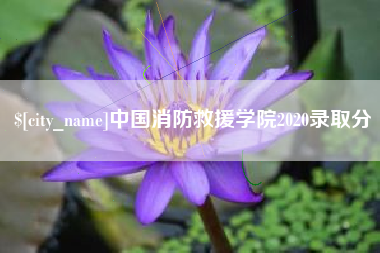 鸡西中国消防救援学院2020录取分