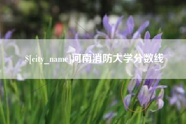 鸡西河南消防大学分数线