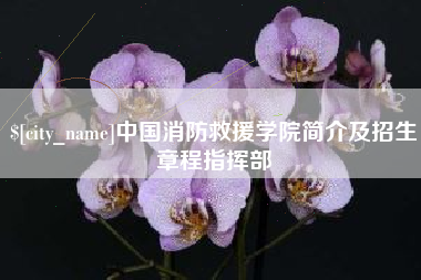 鸡西中国消防救援学院简介及招生章程指挥部