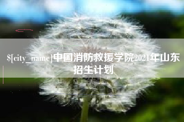 鸡西中国消防救援学院2021年山东招生计划