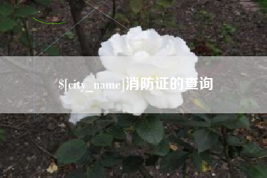 鸡西消防证的查询