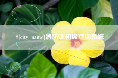 鸡西消防证初级查询系统