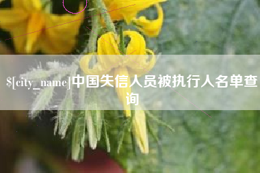 鸡西中国失信人员被执行人名单查询