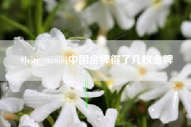 鸡西中国金牌得了几枚金牌