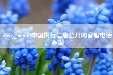 鸡西中国执行信息公开网客服电话查询