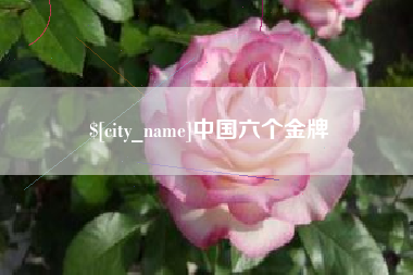 鸡西中国六个金牌